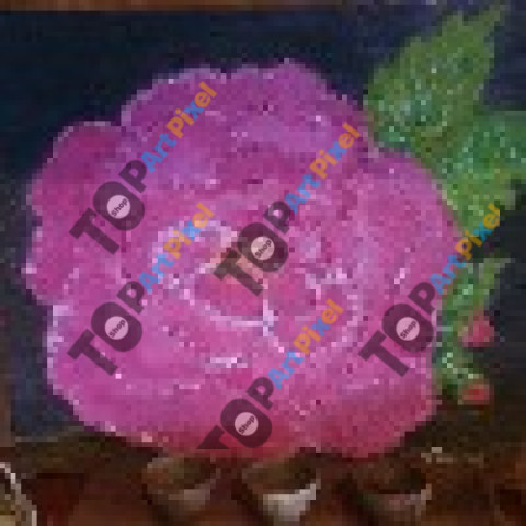 inbound3257094956848683356