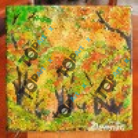 inbound8992922199141544897