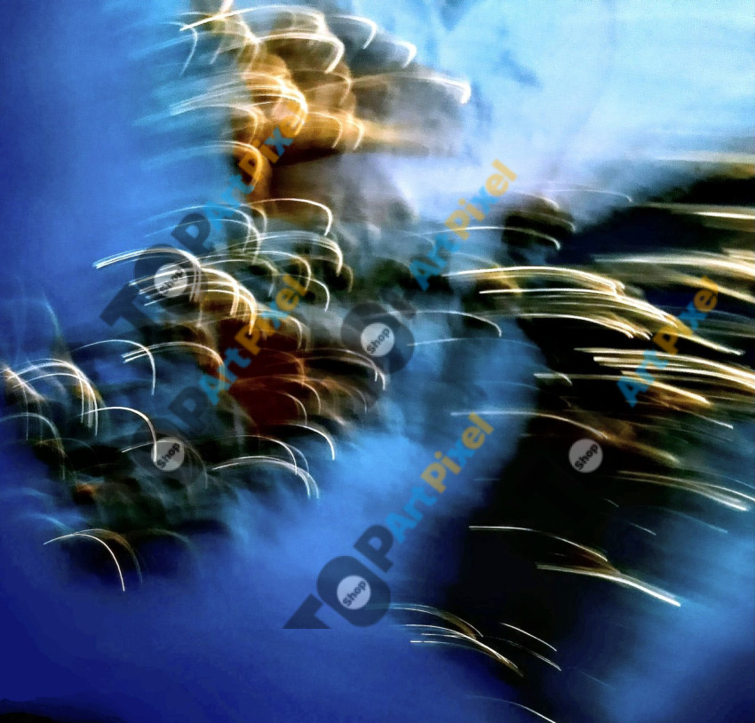 IMG 20250302 125600~4