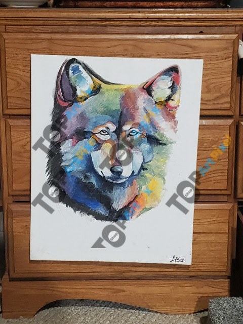 Rainbow wolf