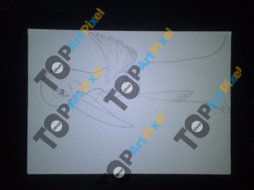 IMG 2025 02 05 11 10 43 771