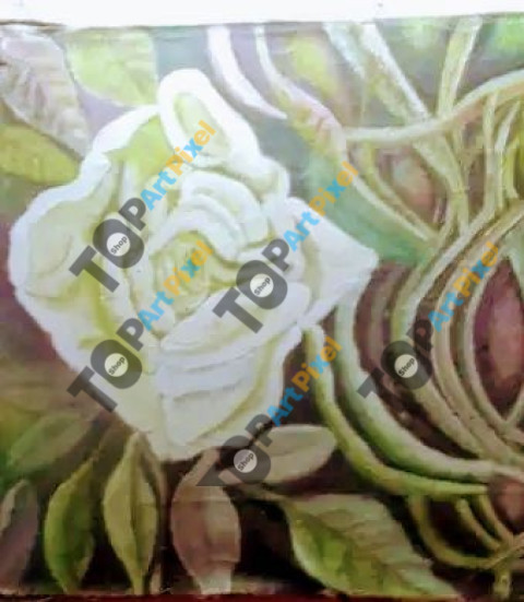 inbound4896495391564061370