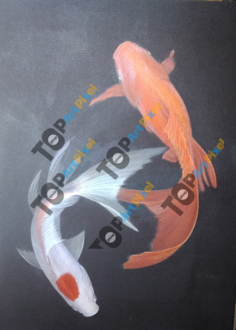 underwater fish