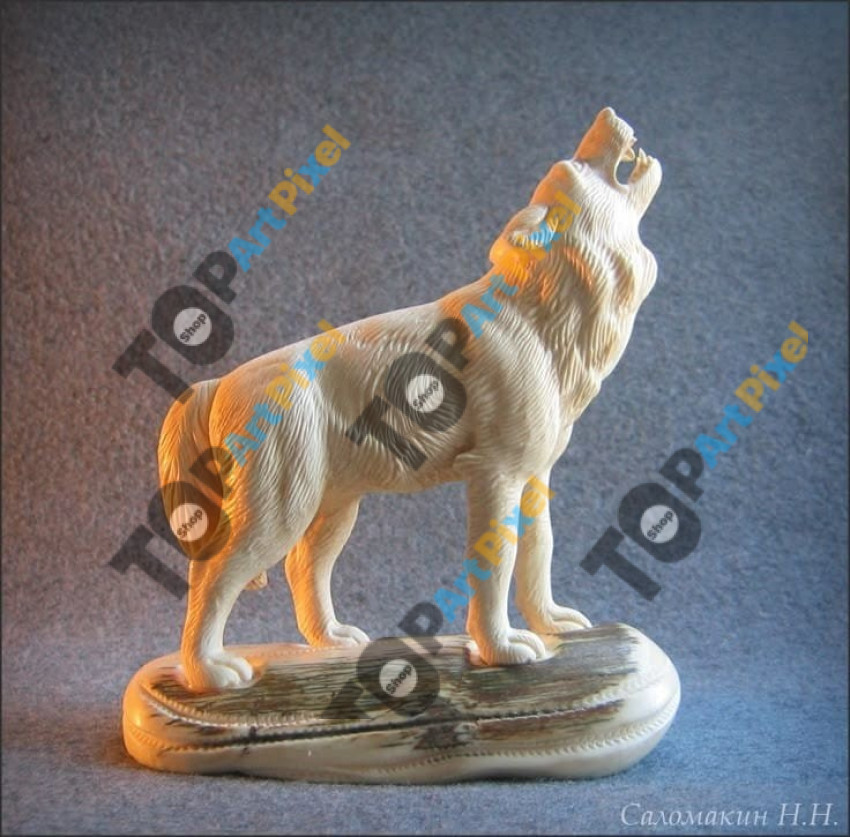 inbound6582537483533799040