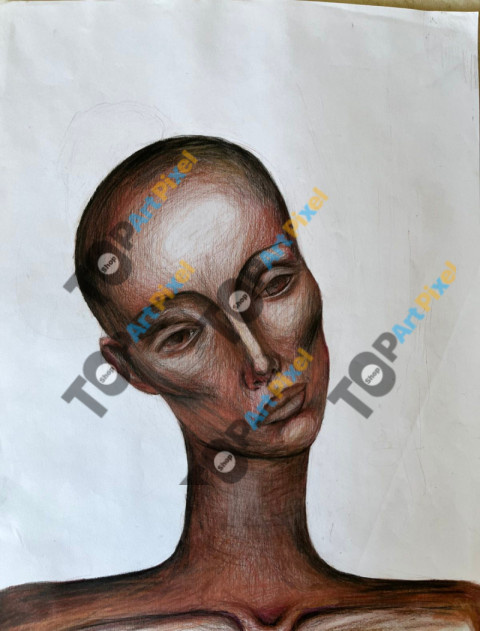 inbound2502841538886735043