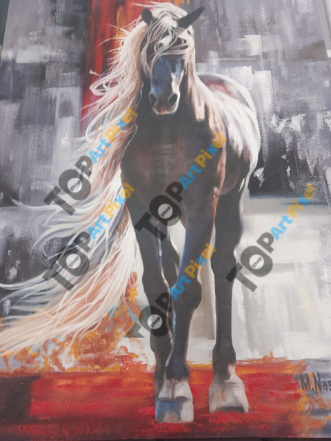 Long haired Horse