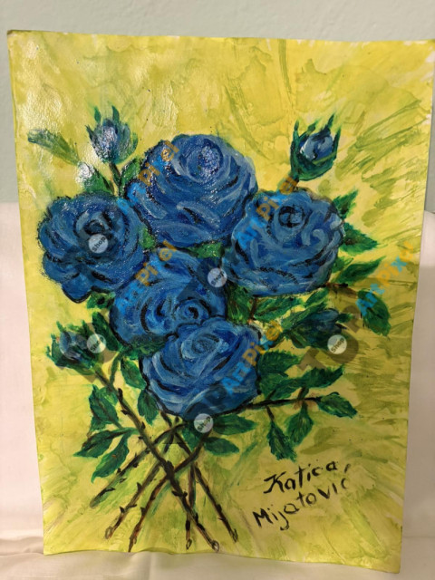 viber slika 2025 05 04 19 09 07 759