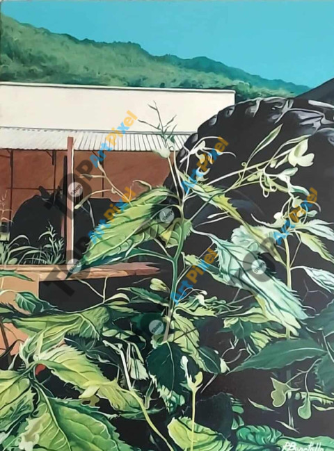 518157808 1241588470841291 5717659663243351766 n