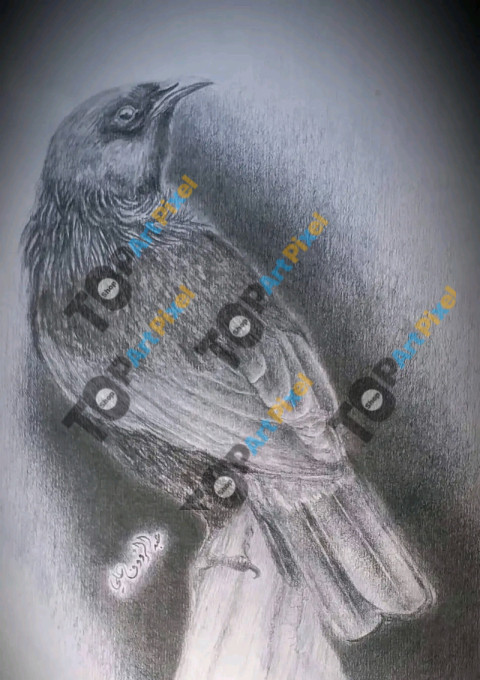 1757484413618