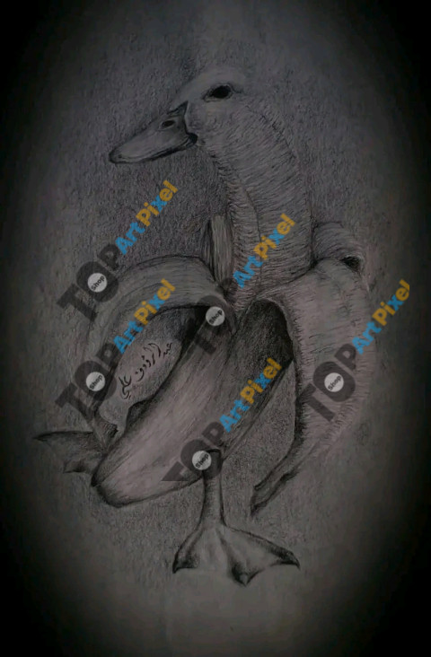 1755793701682