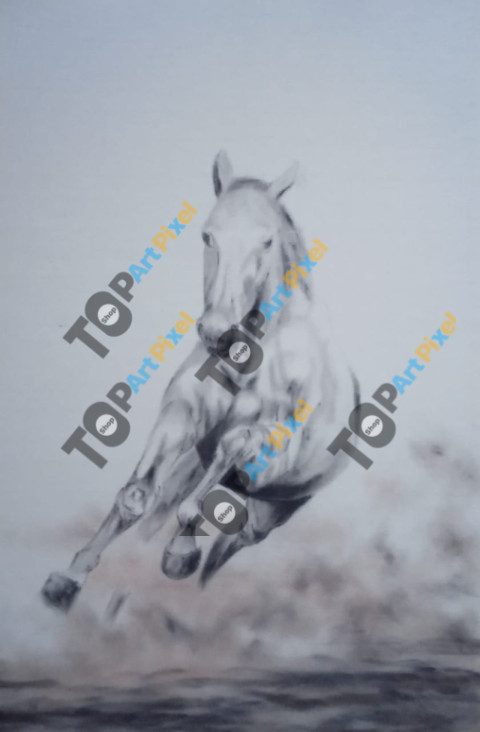white horse