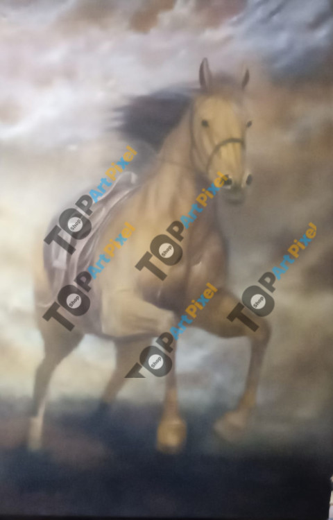 war horse