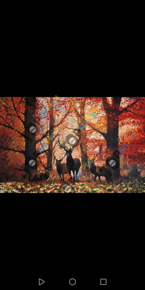 inbound8909779157826740420