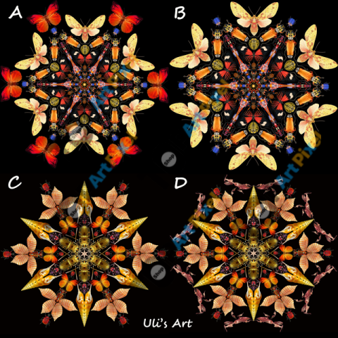 48926473 2294738577437090 226889485726515200 n