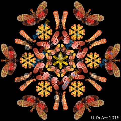 66670474 362044837792296 9014508369955782656 n