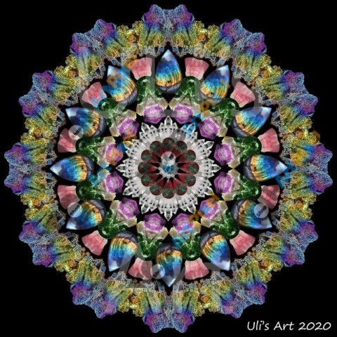 87887684 2286114441692297 924665467660926976 o