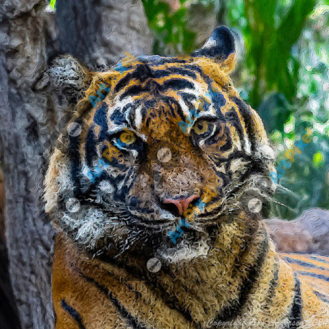 Sumatran Tiger Painting 2 DxO