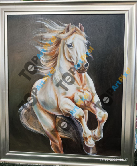 photo 2025 07 24 10 22 02