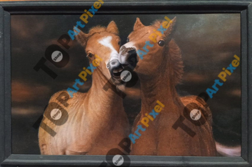 a pair of horses
