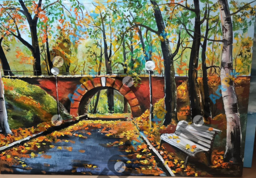 photo 2025 07 24 10 17 21