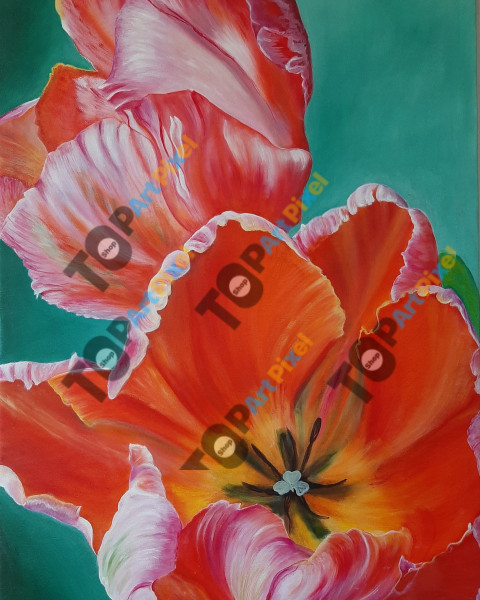 IMG 20230828 101133 220