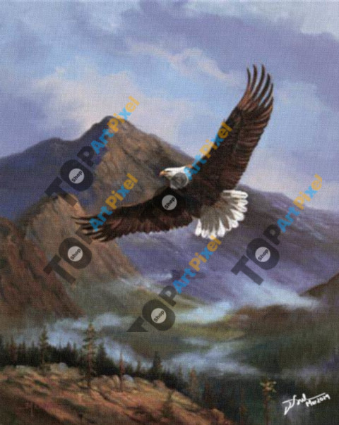 An Eagle In The Sky On Lake Toba 18