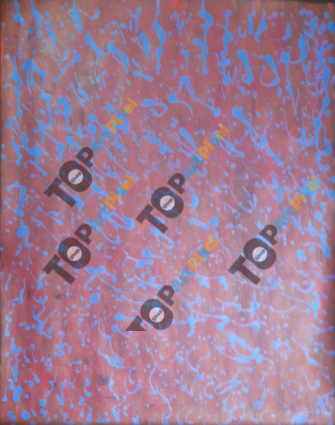 2025 5/16