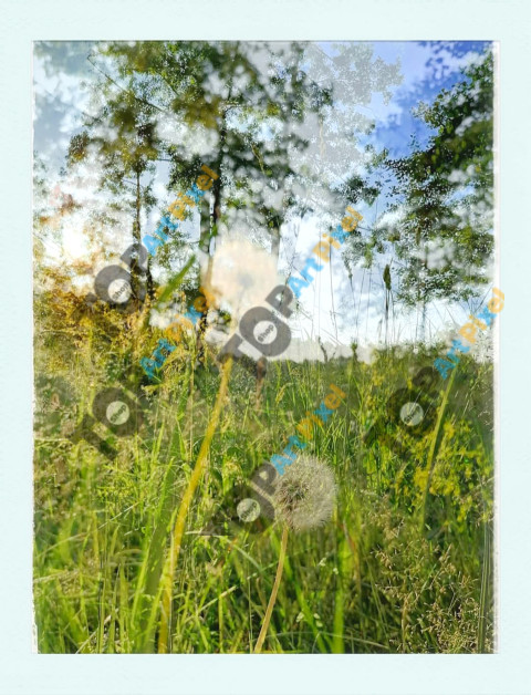 Prenz'lberg Berlin © Quetzalyis Van Luft