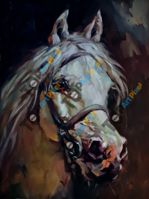 Caballo raza 61x56