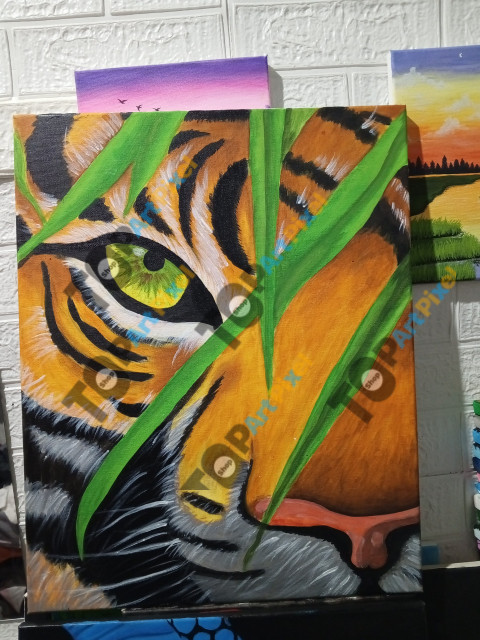 IMG 20250518 182326 778