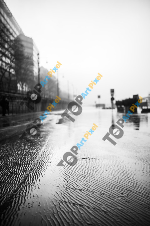 After the flood