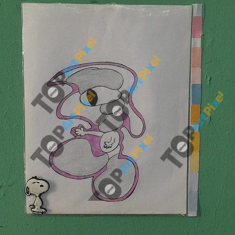 1000098239