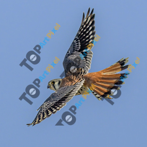 IMG 20251230 160016 738