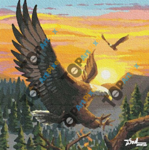 Eagles In The Lake Toba Forest 1