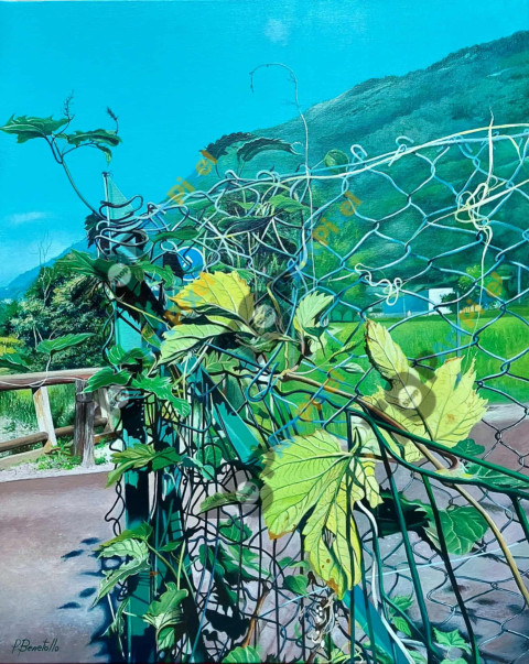 522177878 1394272968460609 4164945061834982586 n