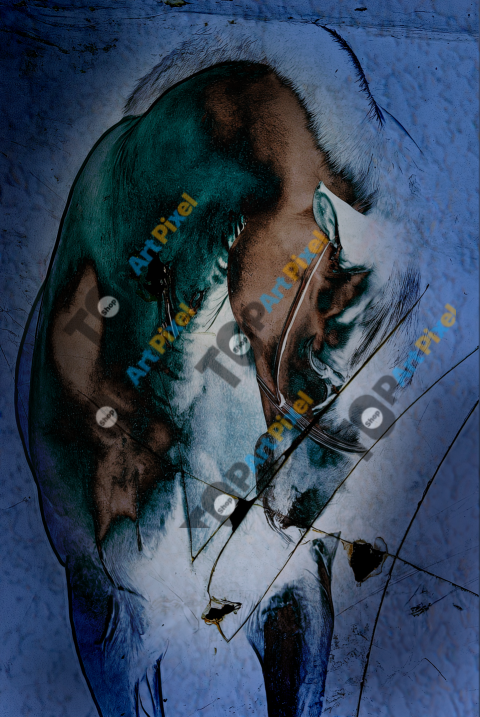 agosto 2025 caballo